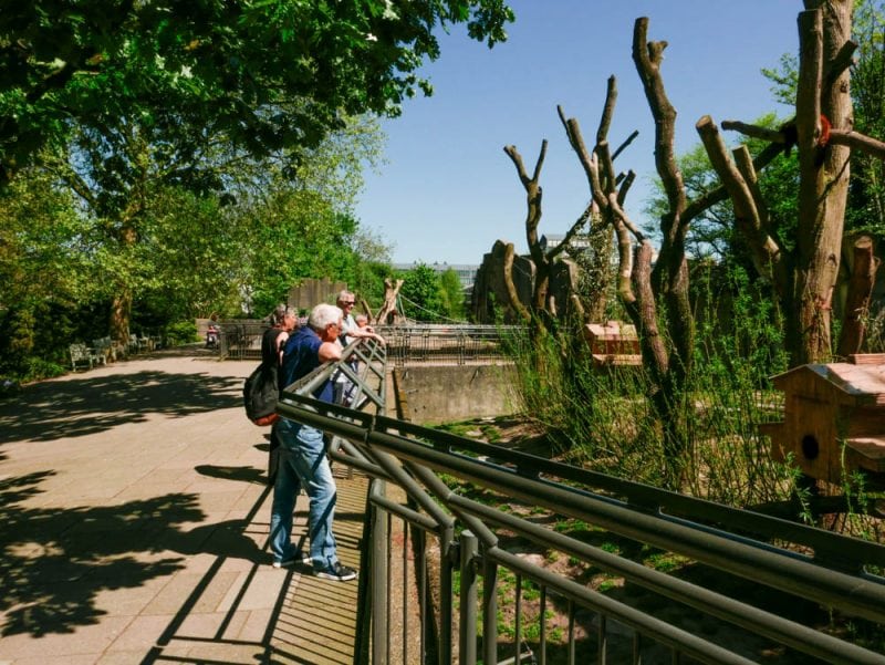 NATURA ARTIS MAGISTRA IN AMSTERDAM - Frans Boots